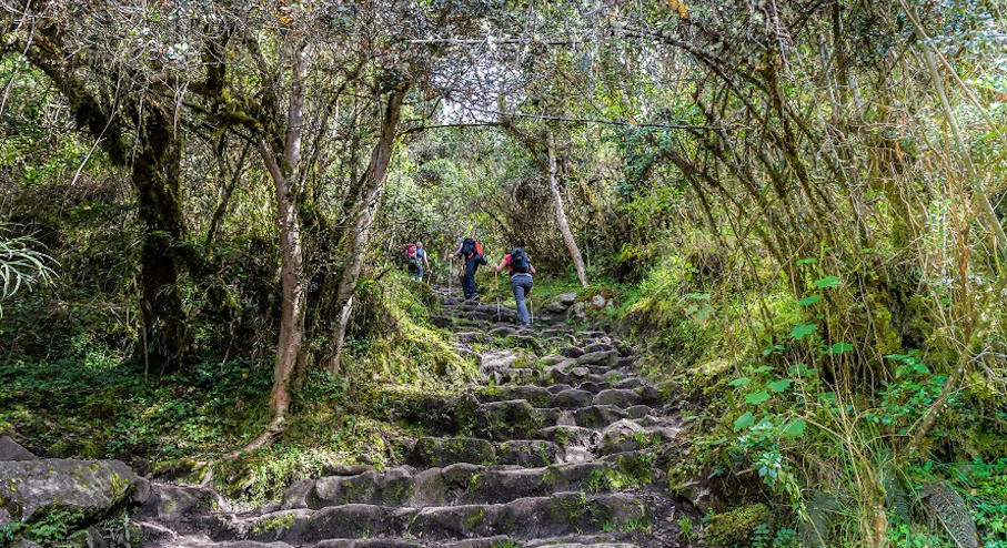 Escalera Camino del Inca Escalera Camino del Inca