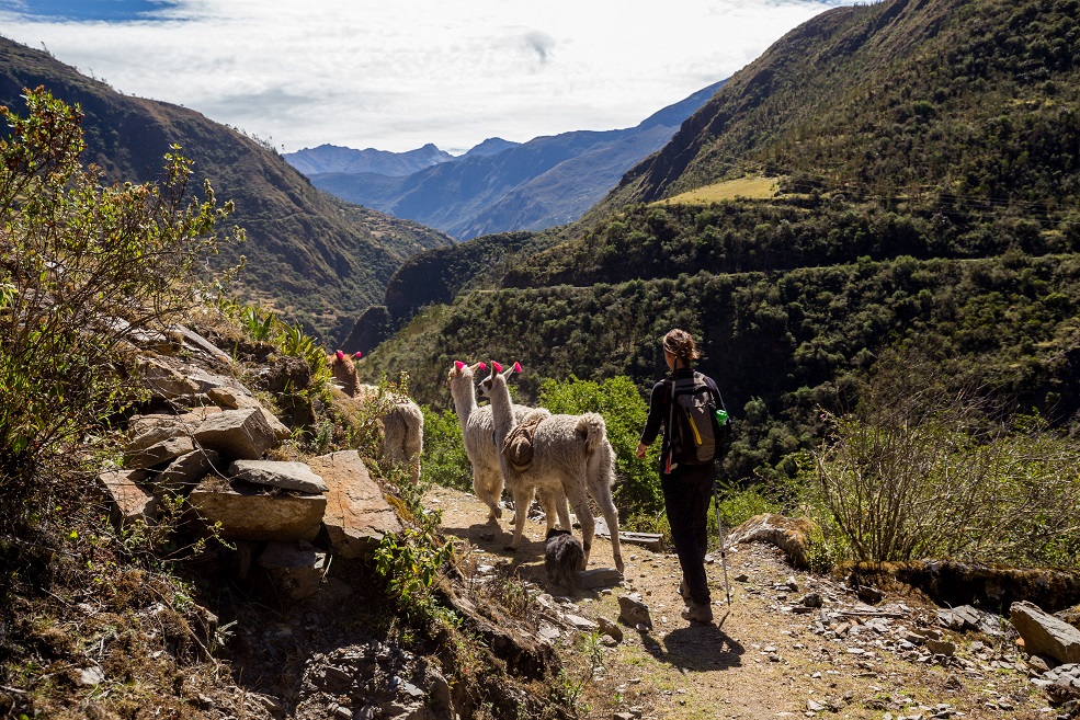 Persona y animales en Trekking Lares