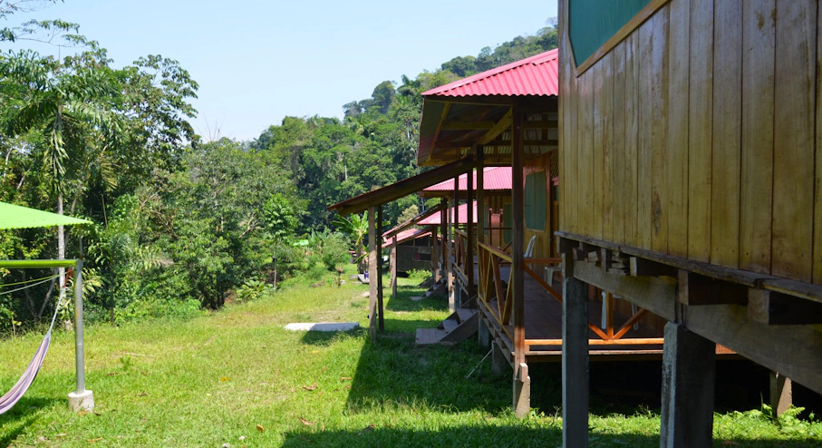 Imagen Parque Nacional Manu (4 días) en Cusco & Machu Picchu Alojamiento