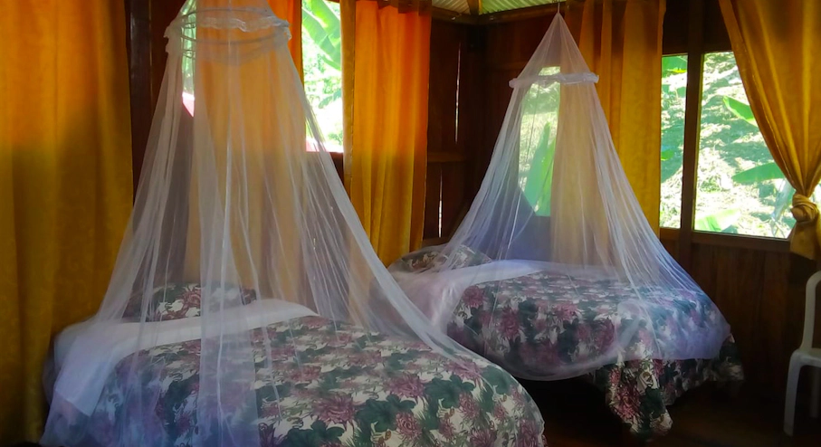 Foto Parque Nacional Manu (4 días) en Cusco & Machu Picchu Camas