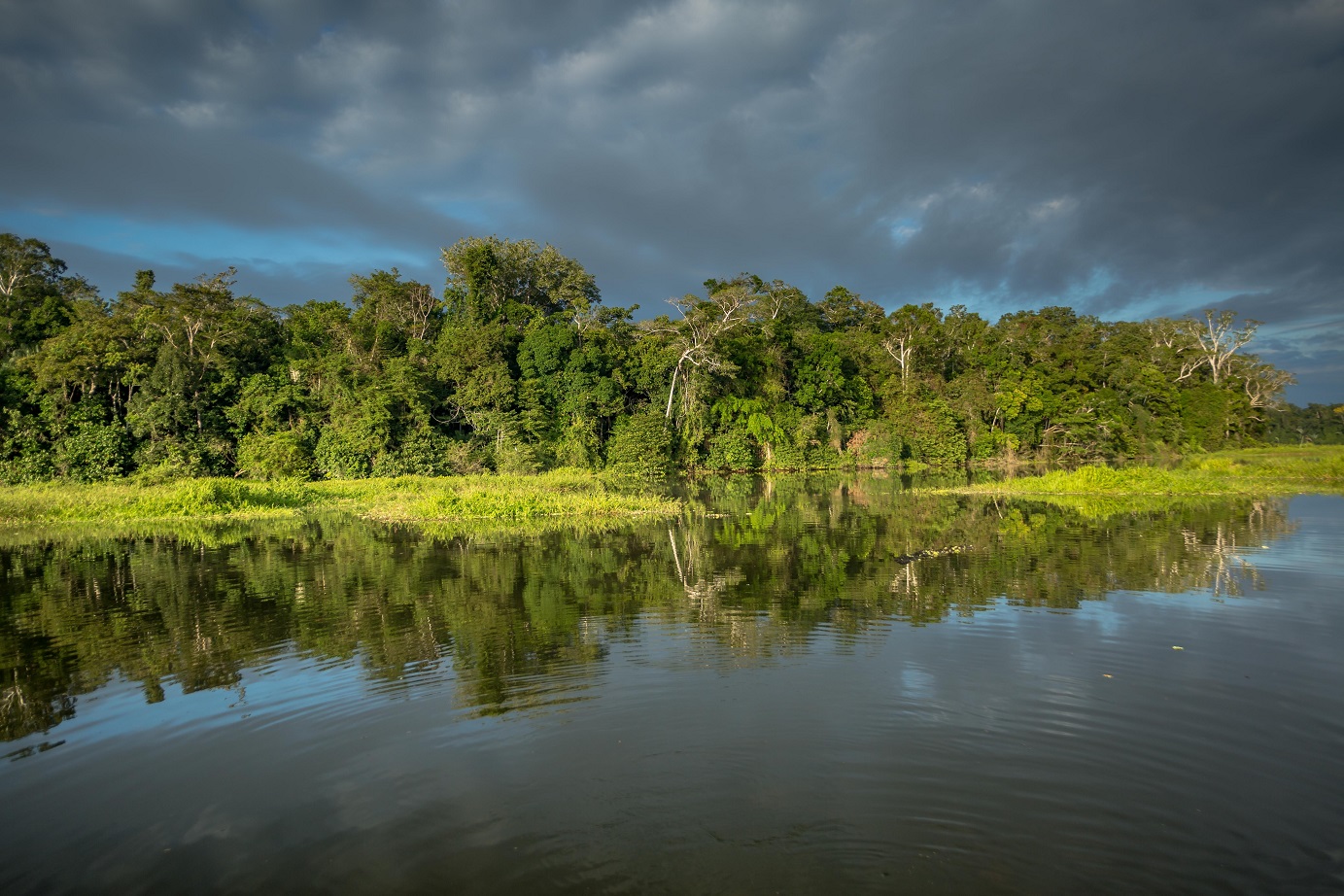 Naturaleza Parque Nacional Manu