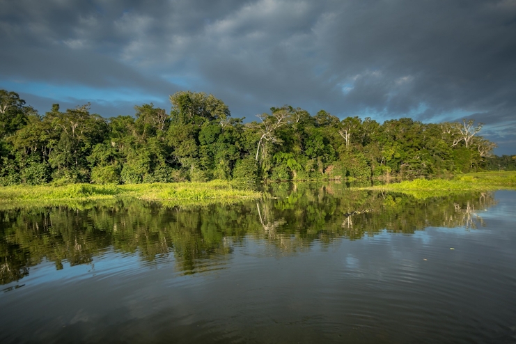 Naturaleza Parque Nacional Manu
