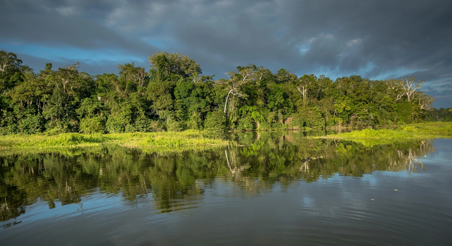 Parque Nacional Manu (4 días) en Cusco & Machu Picchu Naturaleza Parque Nacional Manu