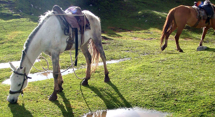 Cabalgata por Ruinas