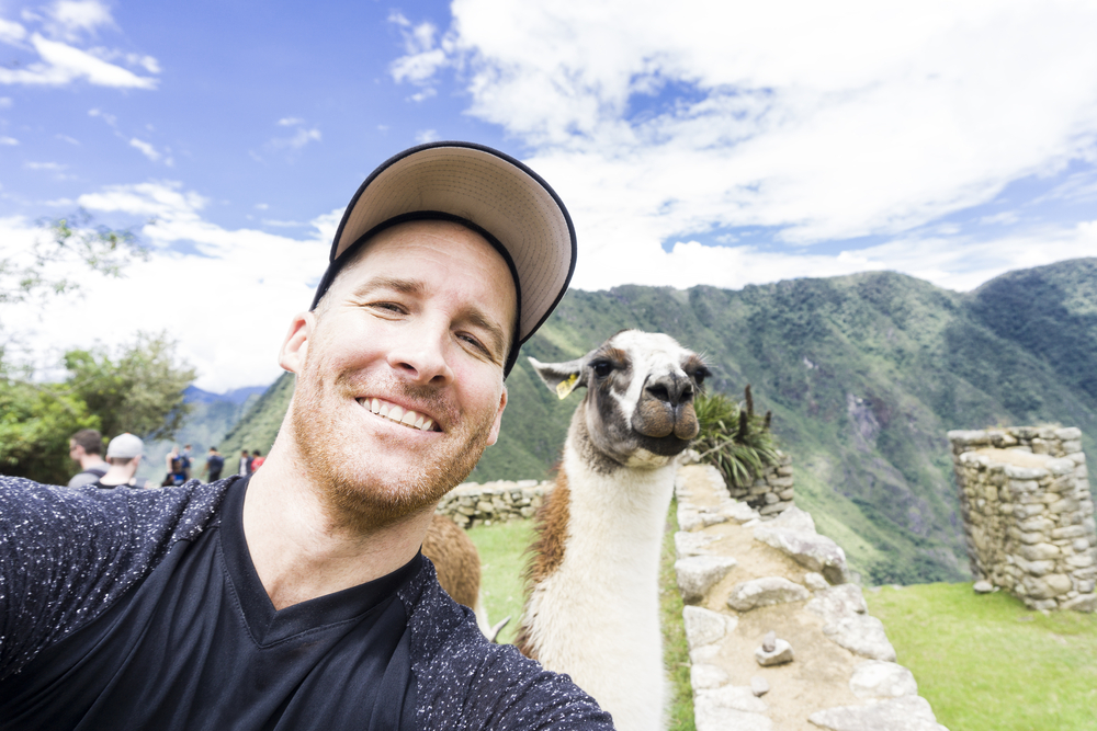 Llamas de Machu Picchu