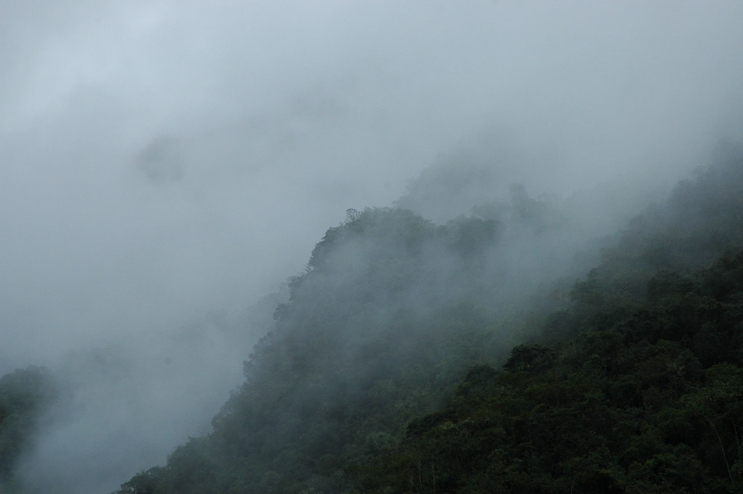 Bosque de Nubes