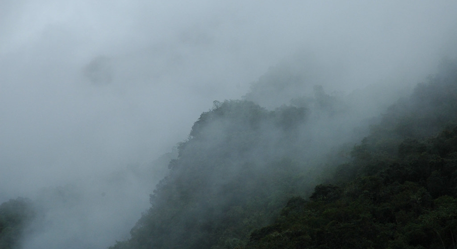 Bosque de Nubes