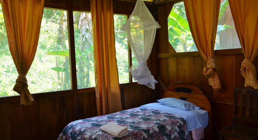 Imagen Parque Nacional Manu (3 días) en Cusco & Machu Picchu Cama