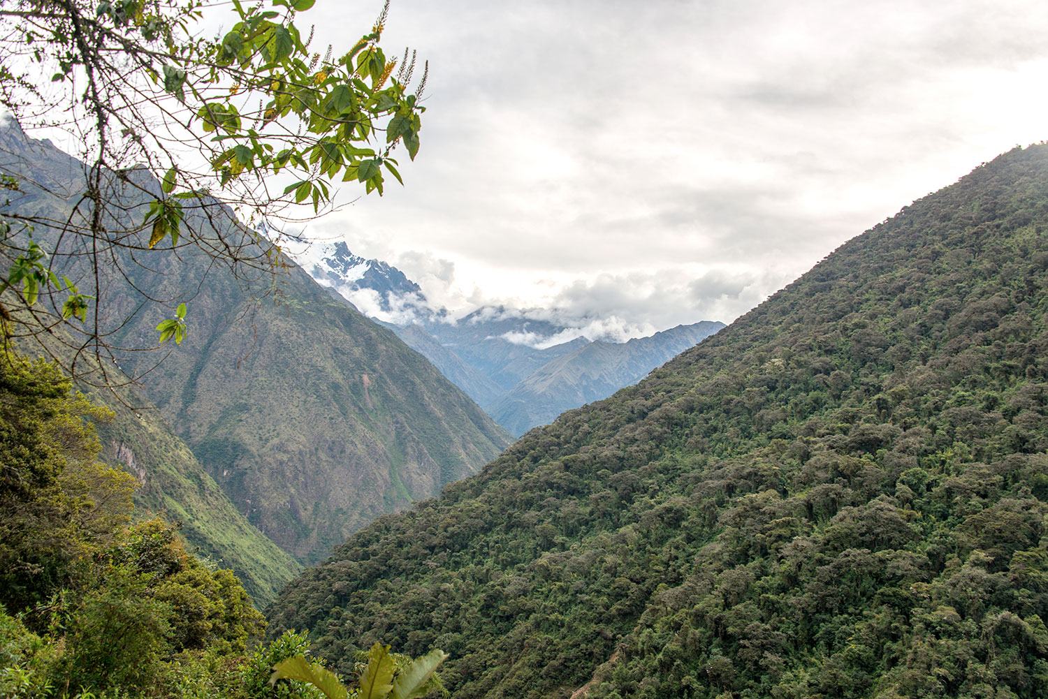 Paisajes trekking Salkantay