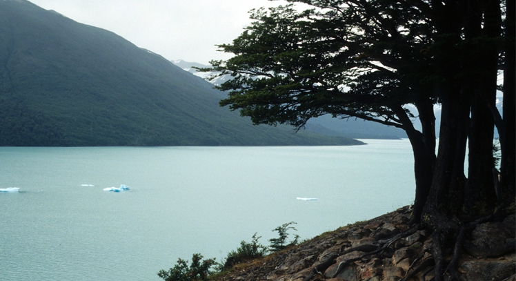 Lago Argentino El Calafate