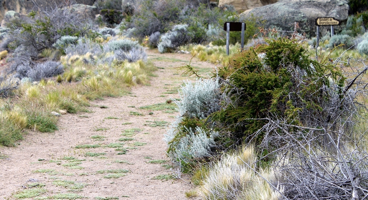 Cuevas de Walichu El Calafate