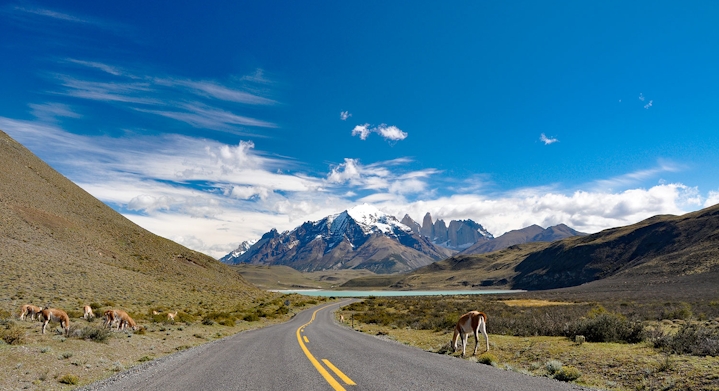 Full Day Torres del Paine