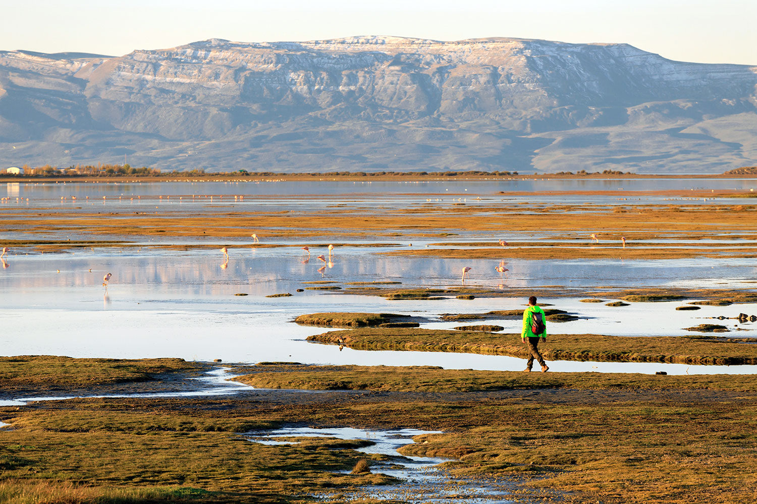 Paisaje patagónico