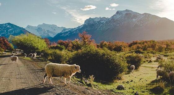 Patagonia argentina