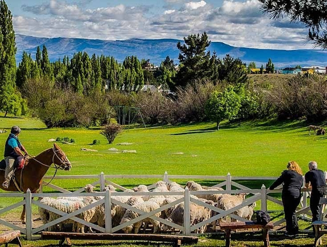 Arriero en estancia 25 de mayo