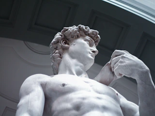 Imagen Visita Guiada por la Galería de la Academia en Florencia David