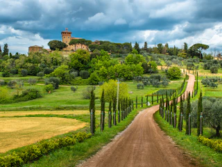 Imagen Tour de Vinos por la Región de Chianti en Florencia Viñedo en Chianti