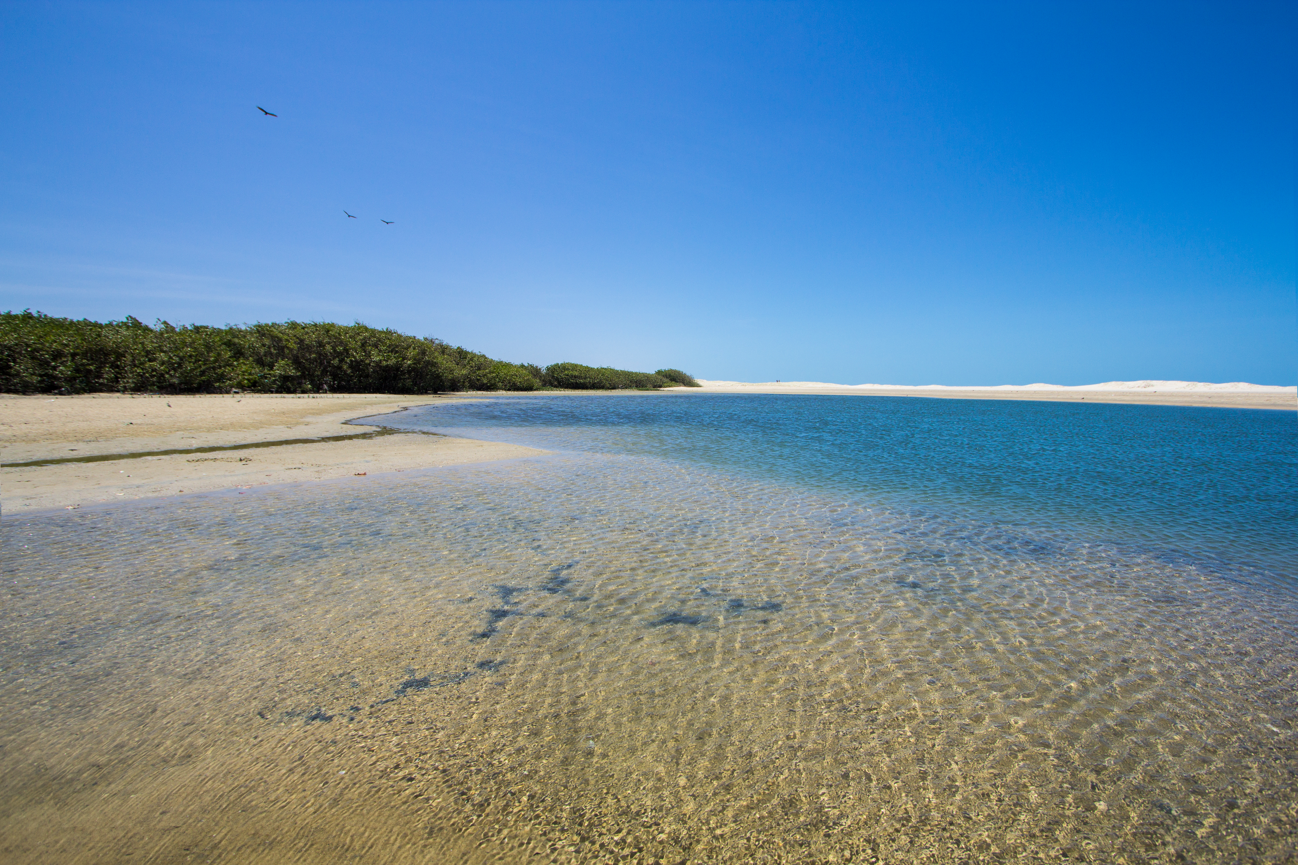 Playa en Águas Belas