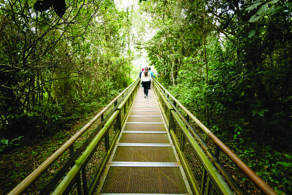 Personas en parque Iguazú