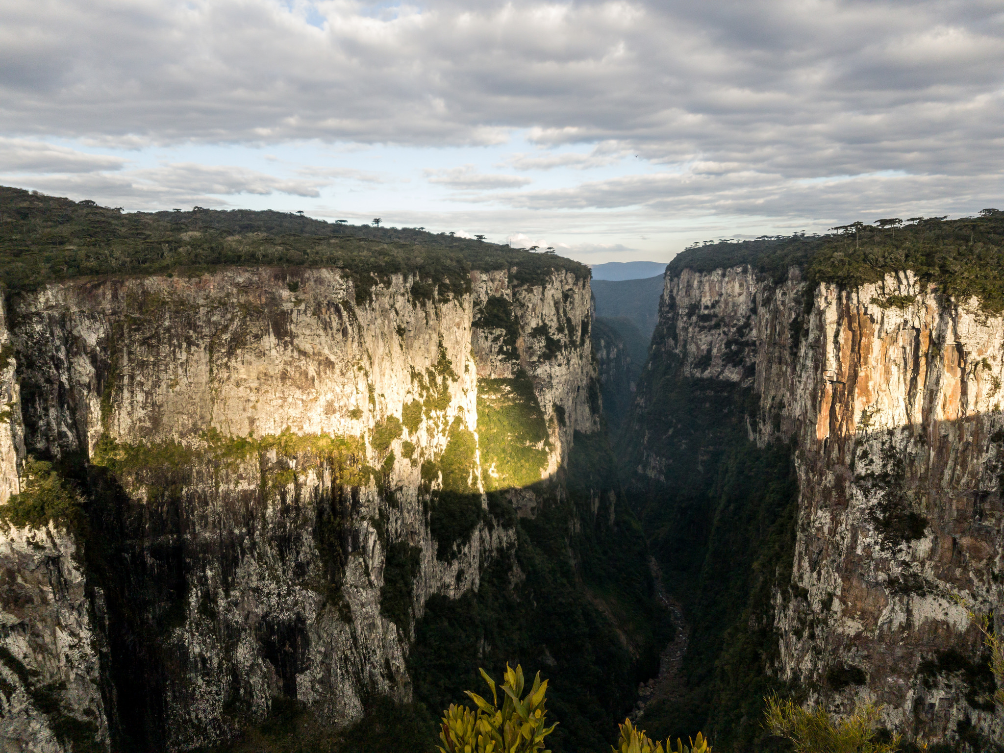 Parque nacional Aparados da Serra