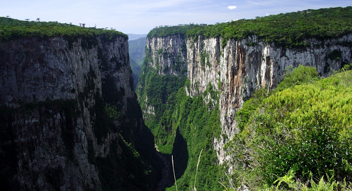 Tour Itaimbezinho