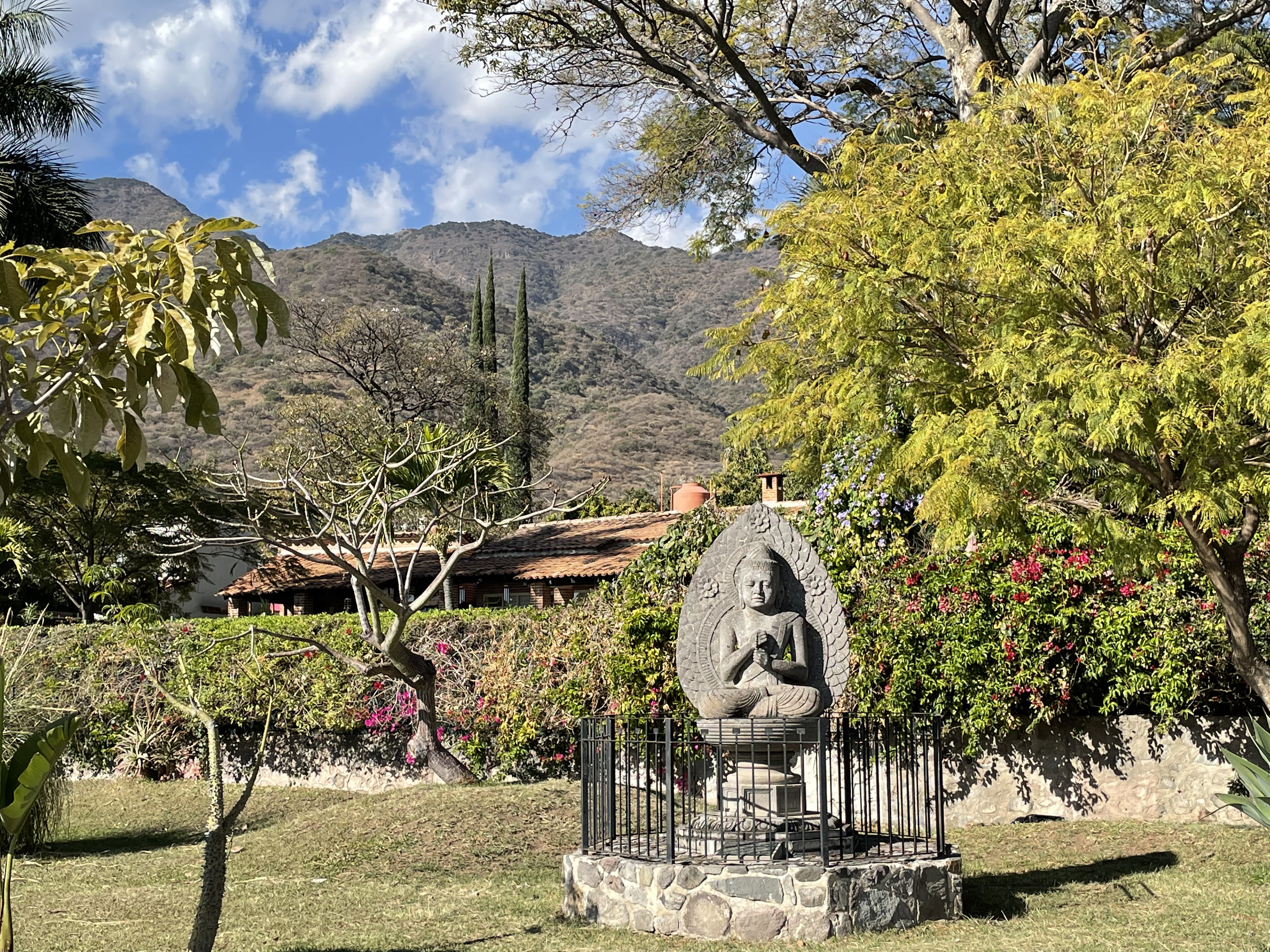 Ajijic