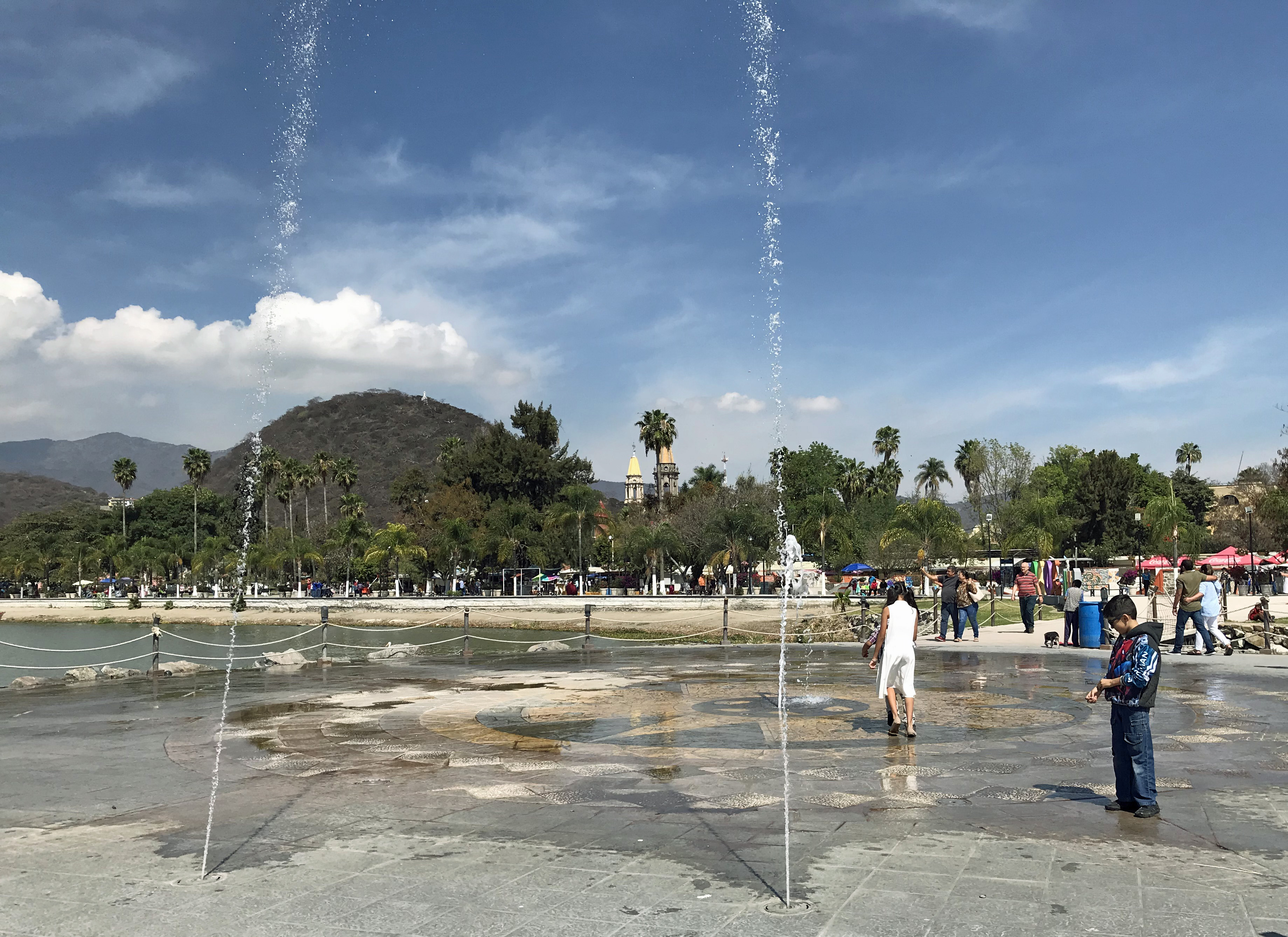 Borde del lago Chapala