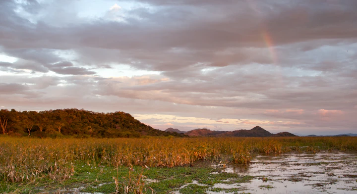 Paseo en Bote por Palo Verde