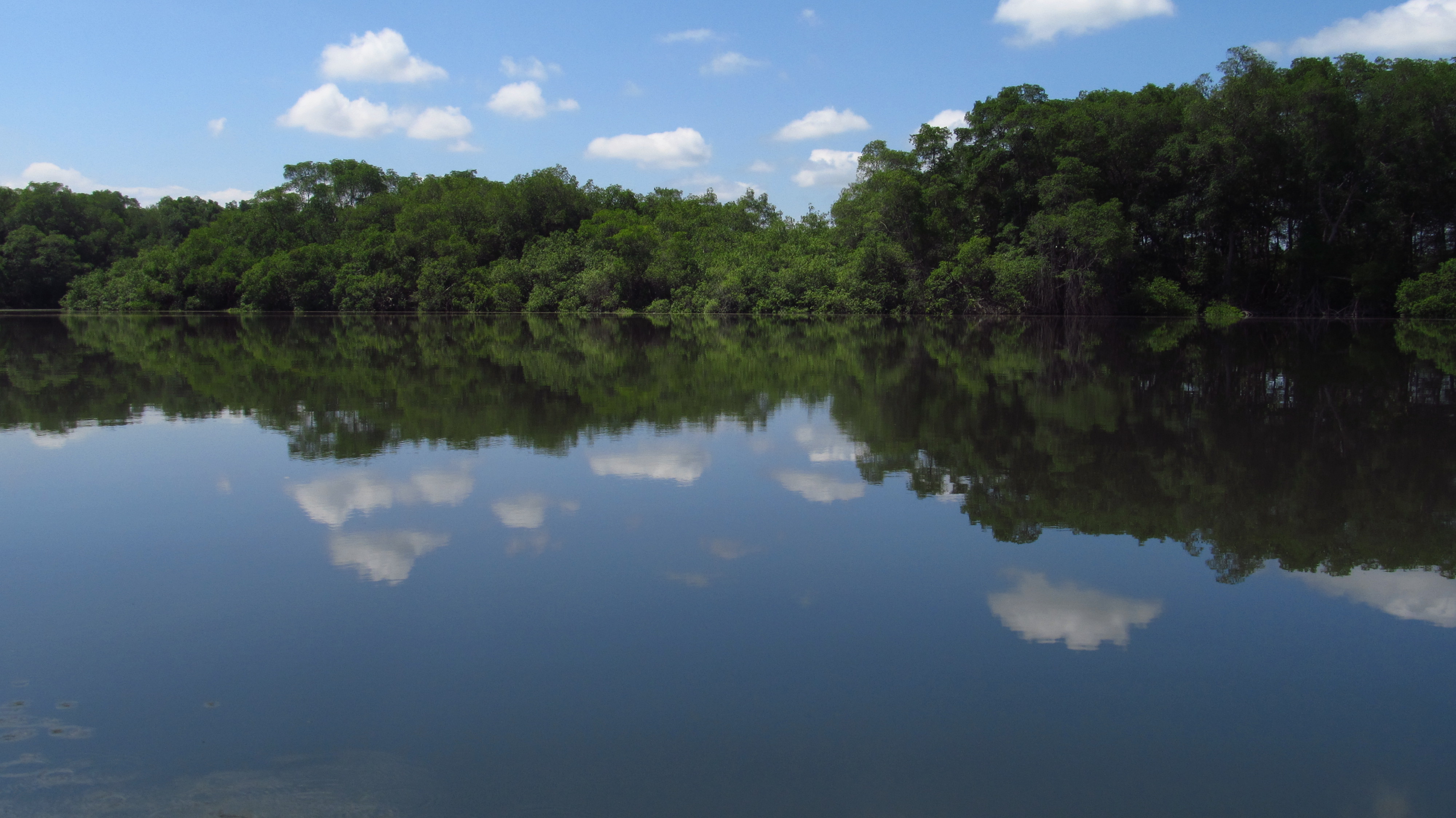 Manglares de Churute