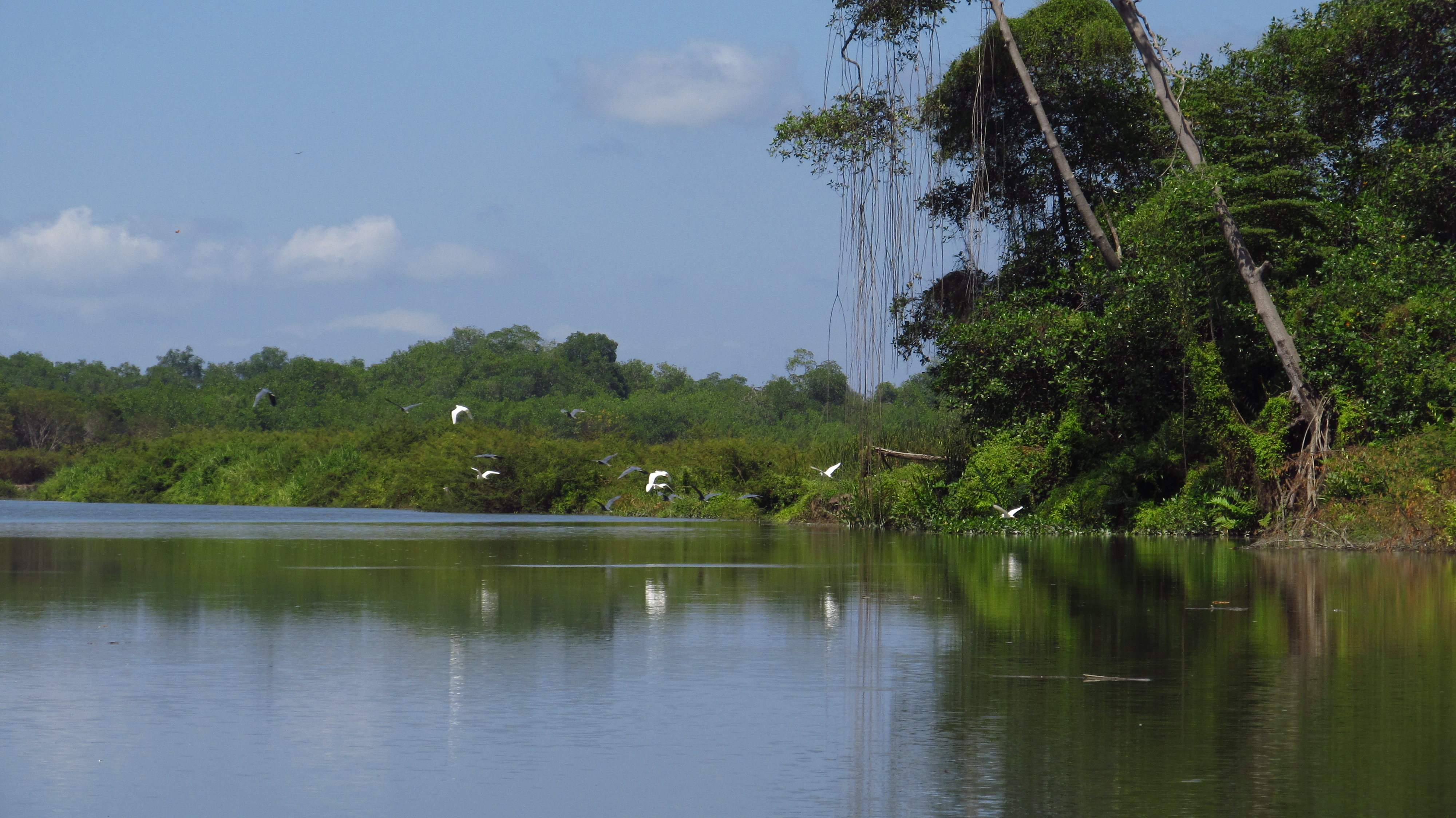 Reserva natural Manglares de Churute