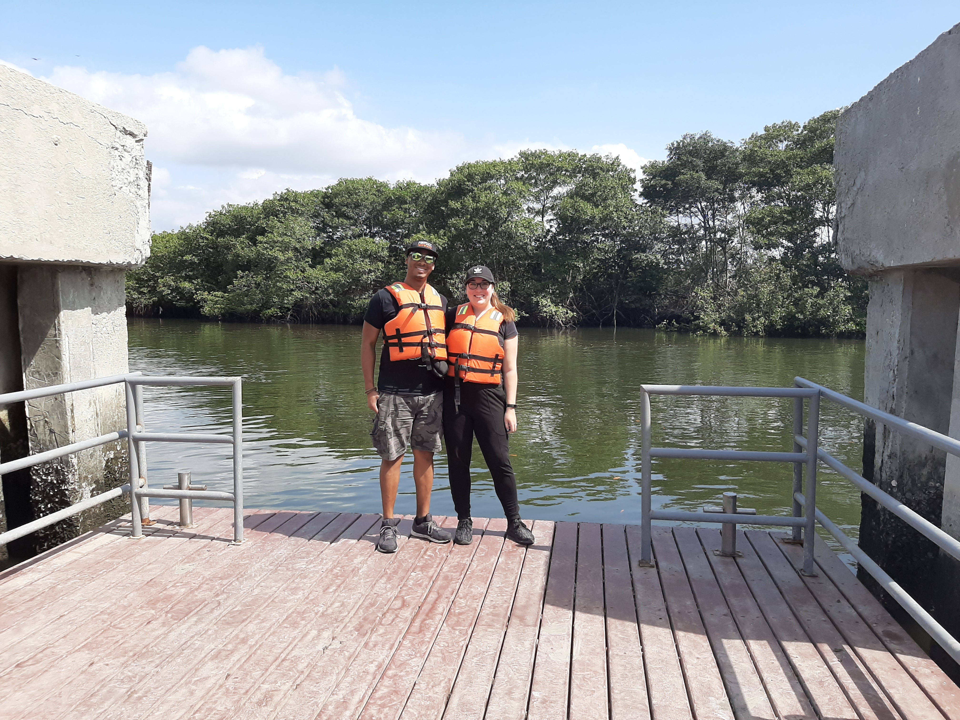 Avistamiento de delfines