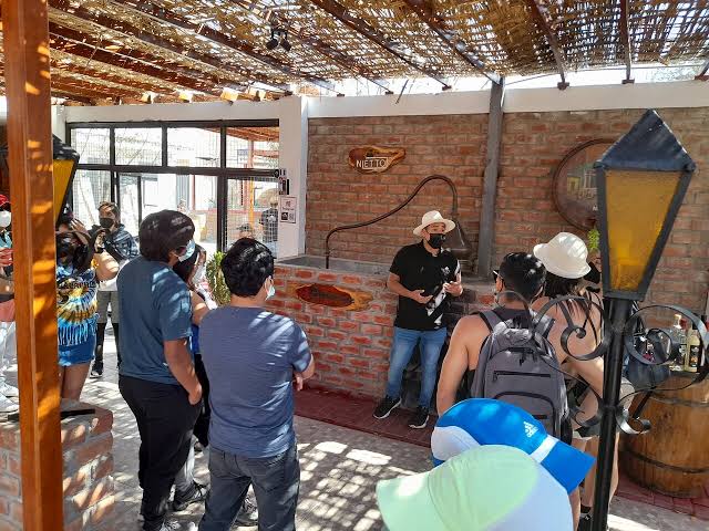 Degustación de pisco