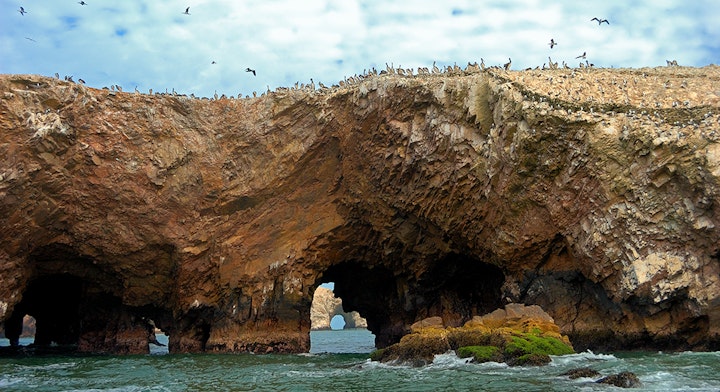 Full day Paracas + Islas Ballestas