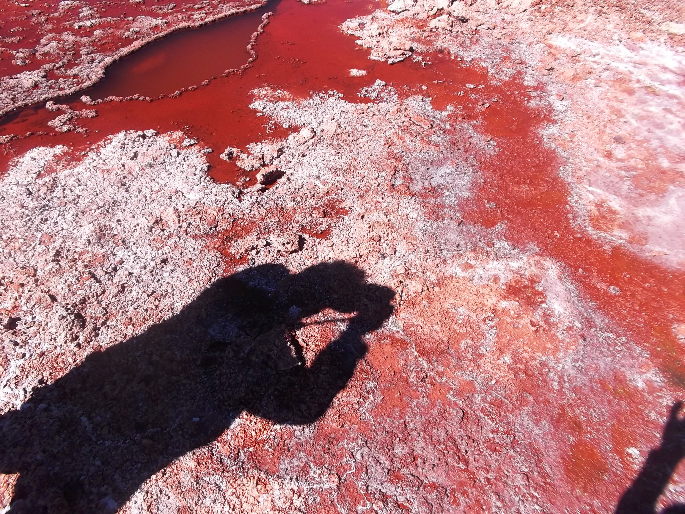 Laguna Roja en Iquique