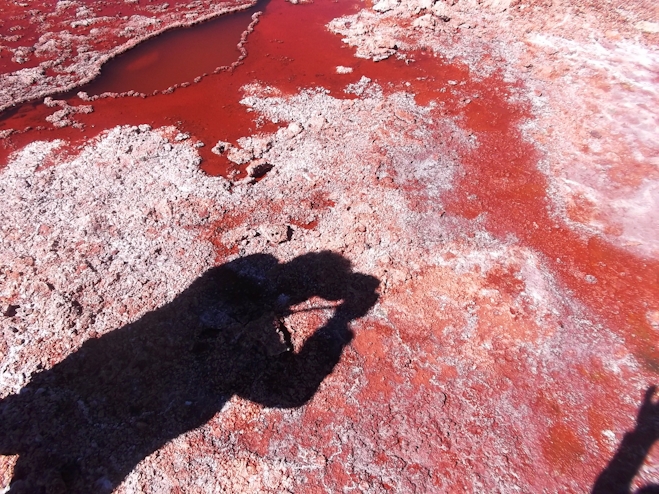 Laguna Roja en Iquique
