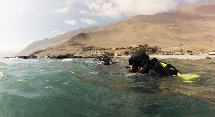 Personas buceando en Iquique.