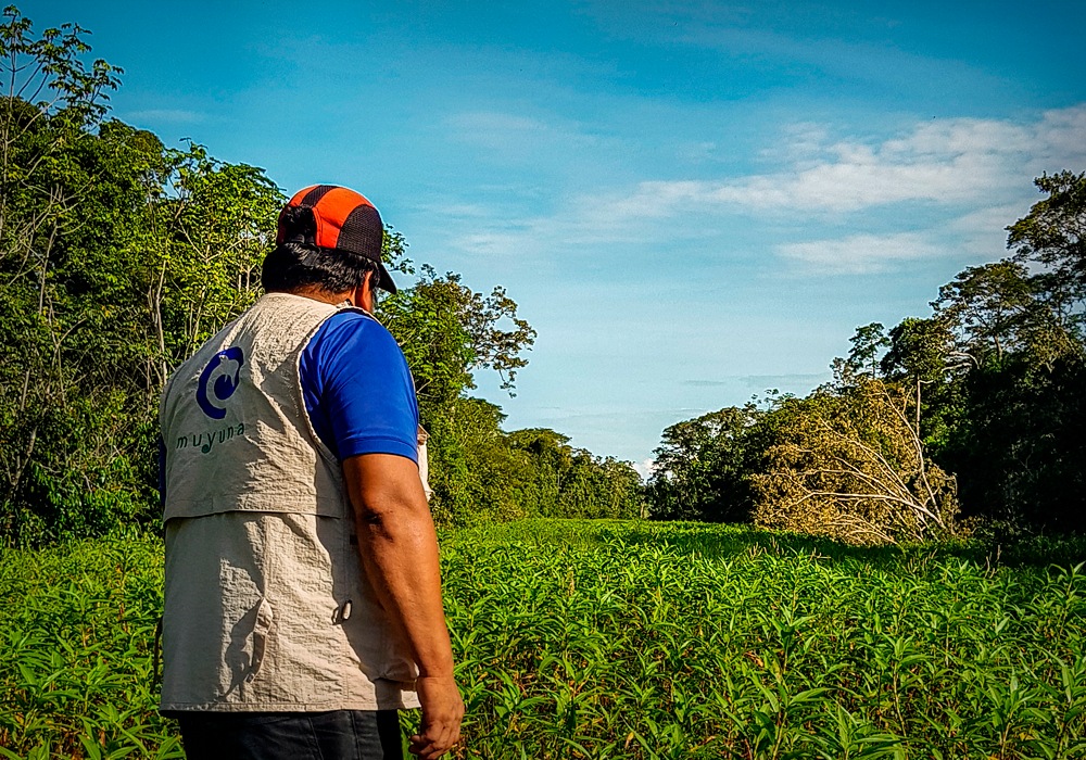 Guía tours Amazonía peruana