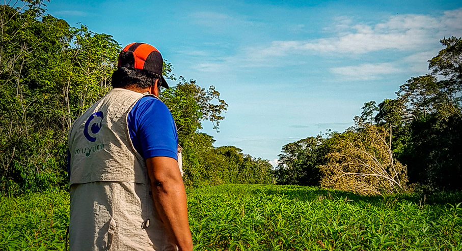 Guía tours Amazonía peruana Guía tours Amazonía peruana
