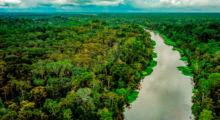 Amazonía Lodge Muyuna (5 días) en Iquitos Río Amazonas