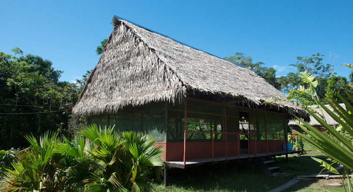Imagen Amazonía (2 días) en Iquitos
