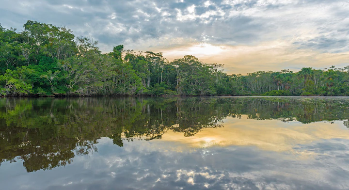 Imagen Amazonía (8 días) en Iquitos