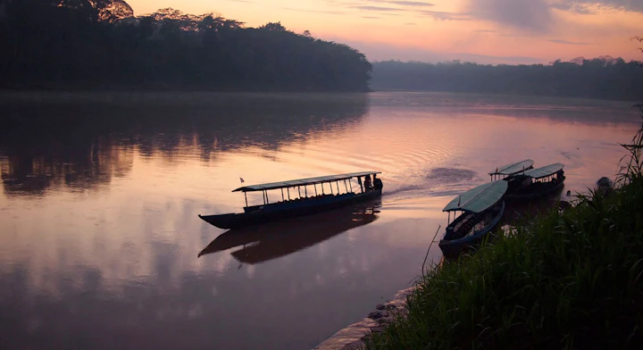 Imagen Reserva Pacaya Samiria (8 días) en Iquitos
