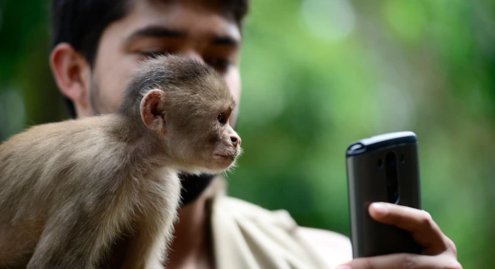 Imagen Reserva Pacaya Samiria (10 días) en Iquitos