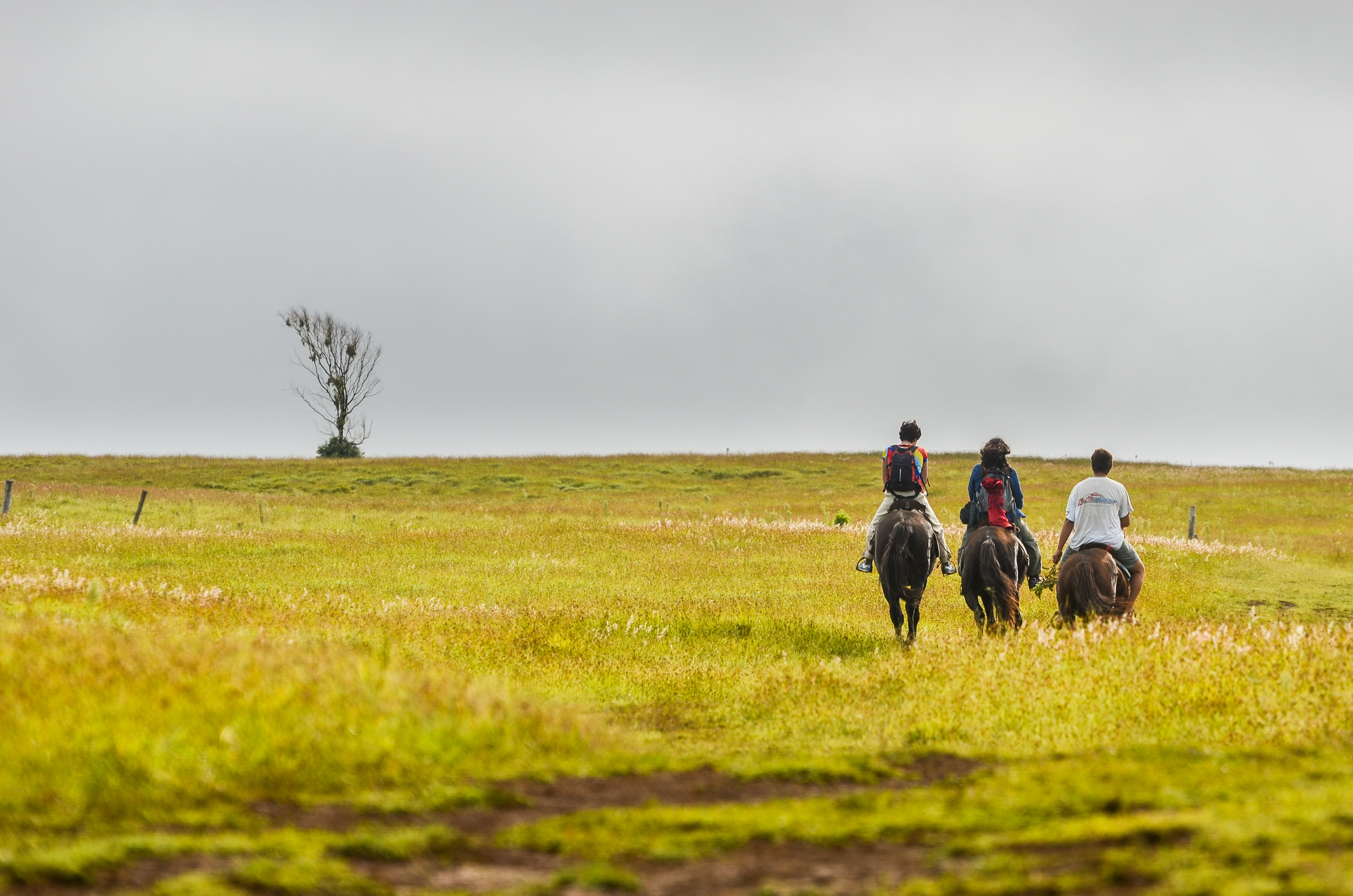 Cabalgata en Isla de Pascua
