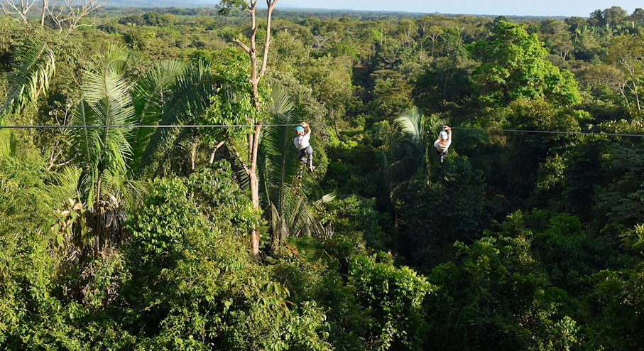 Selva en Costa Rica