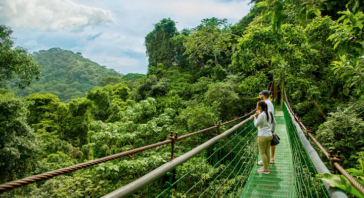 Personas en puente colgante