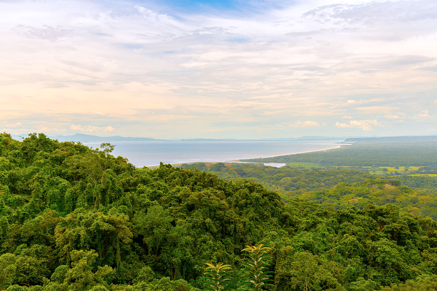 Selva y mar en Costa Rica