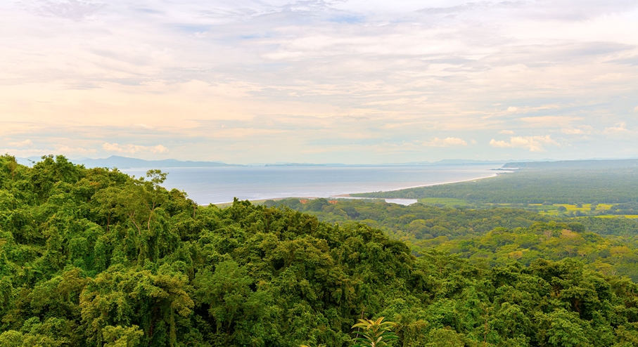 Selva y mar en Costa Rica