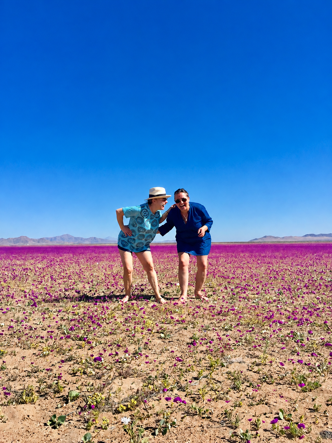 Dos viajeras riendo descalzas en un manto de flores moradas del desierto florido 