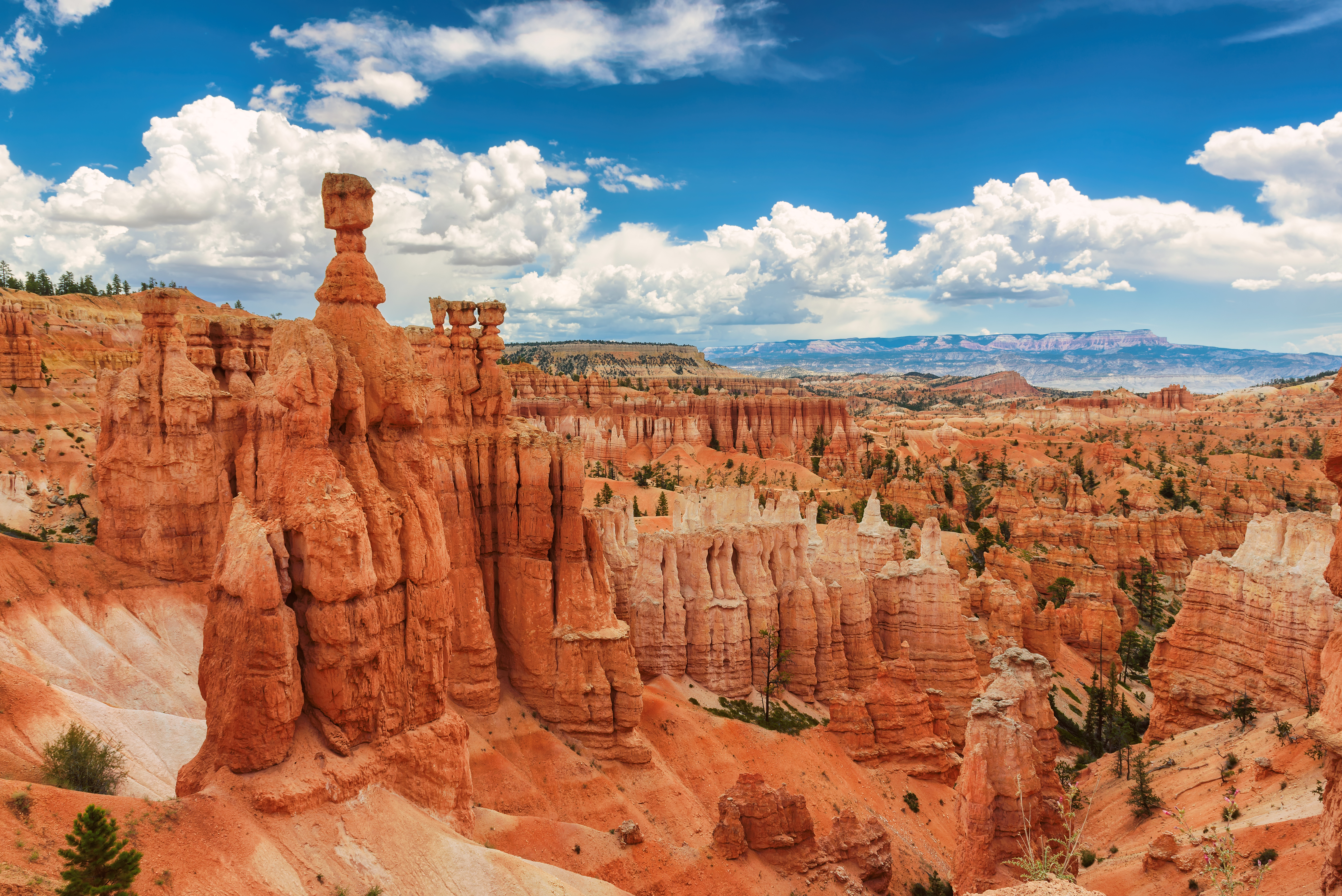 Parque Nacional del Cañón Bryce